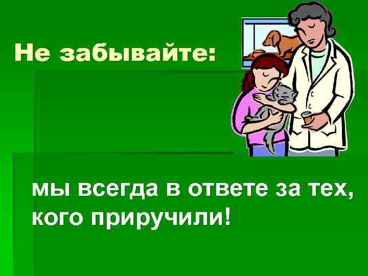 Не забывайте: мы всегда в ответе за тех, кого приручили! 