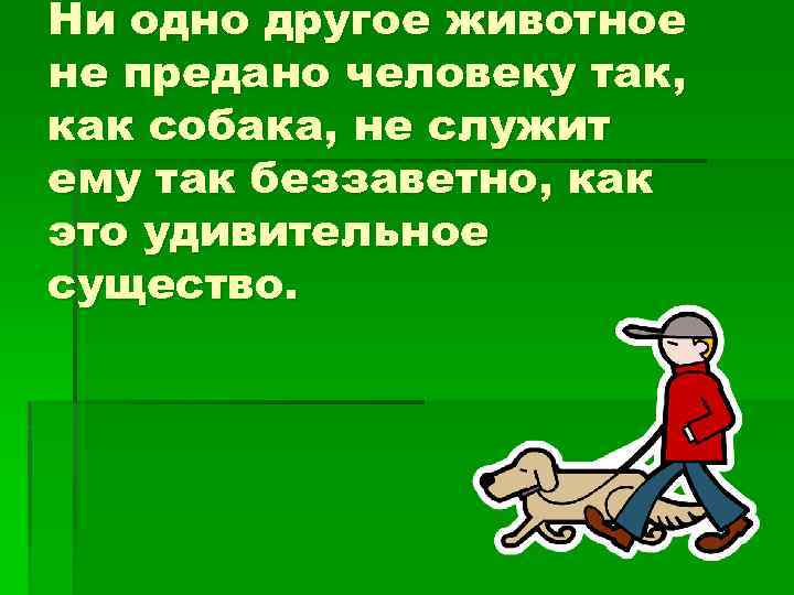 Ни одно другое животное не предано человеку так, как собака, не служит ему так