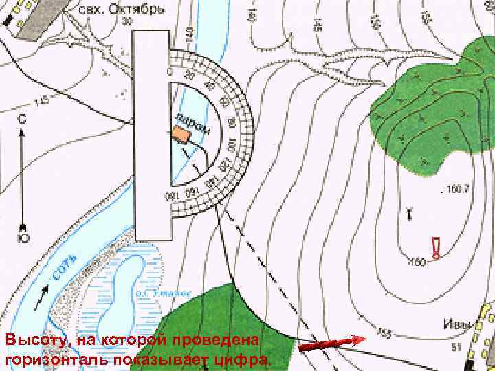 Высоту, на которой проведена горизонталь показывает цифра. 