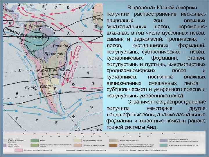 В пределах Южной Америки получили распространение несколько природных зон: влажных экваториальных лесов, переменновлажных, в