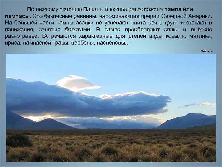 По нижнему течению Параны и южнее расположена пампа или пампасы. Это безлесные равнины, напоминающие