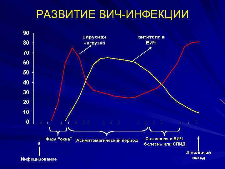 РАЗВИТИЕ ВИЧ-ИНФЕКЦИИ вирусная нагрузка Фаза “окна” Асимптоматический период Инфицирование антитела к ВИЧ Связанная с