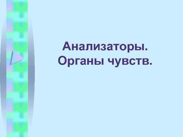 Анализаторы. Органы чувств. 