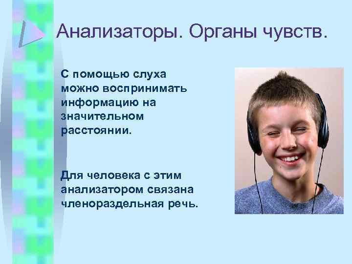 Анализаторы. Органы чувств. С помощью слуха можно воспринимать информацию на значительном расстоянии. Для человека