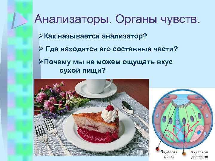 Анализаторы. Органы чувств. ØКак называется анализатор? Ø Где находятся его составные части? ØПочему мы