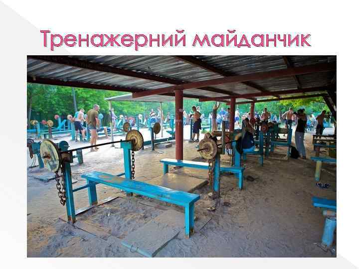 Тренажерний майданчик 