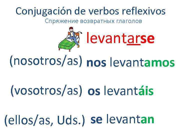 Conjugación de verbos reflexivos Спряжение возвратных глаголов levantarse (nosotros/as) nos levantamos (vosotros/as) os levantáis