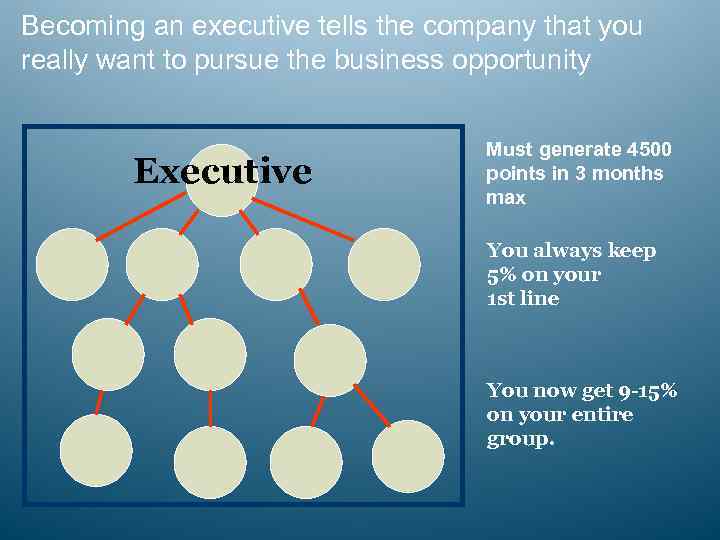 Becoming an executive tells the company that you really want to pursue the business