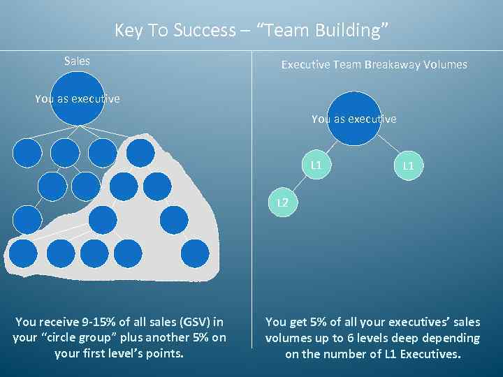 Key To Success – “Team Building” Sales Executive Team Breakaway Volumes You as executive