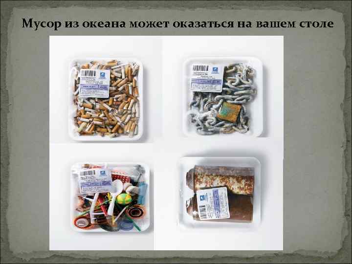 Мусор из океана может оказаться на вашем столе 