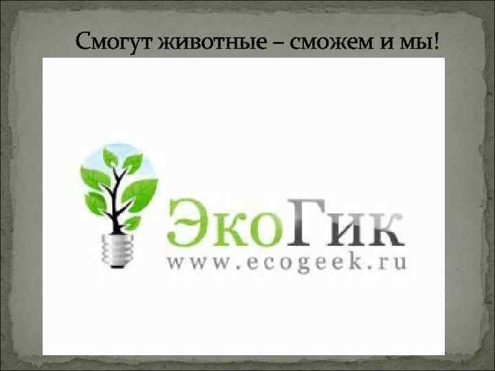  Смогут животные – сможем и мы! 