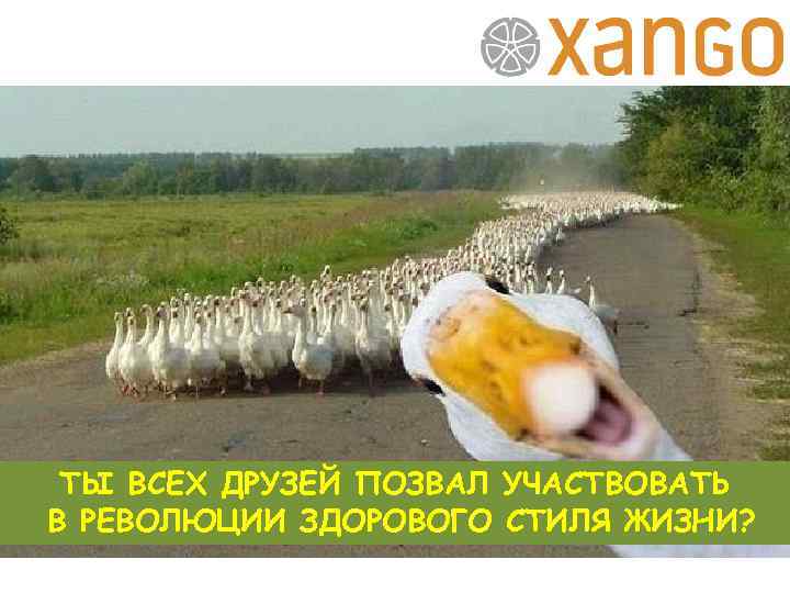 ТЫ ВСЕХ ДРУЗЕЙ ПОЗВАЛ УЧАСТВОВАТЬ В РЕВОЛЮЦИИ ЗДОРОВОГО СТИЛЯ ЖИЗНИ? 
