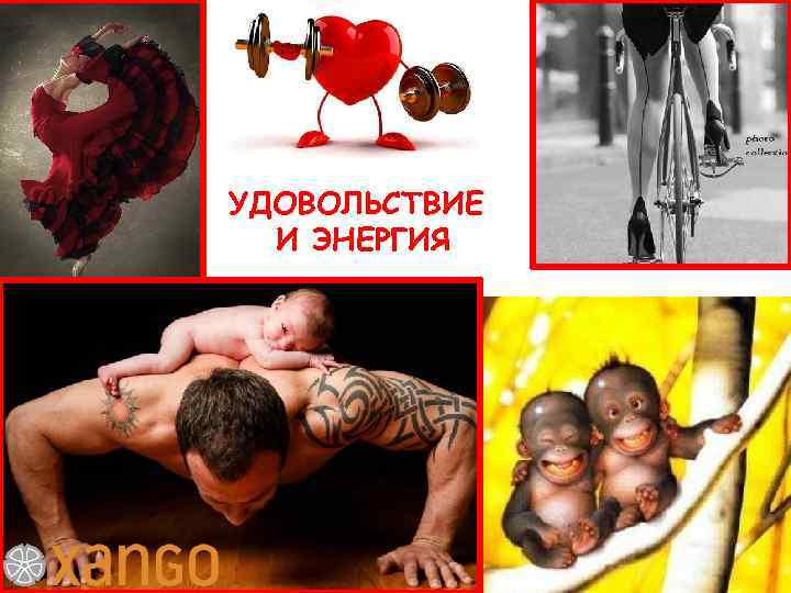 УДОВОЛЬСТВИЕ И ЭНЕРГИЯ 