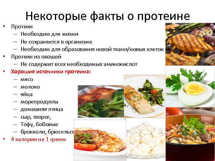 Некоторые факты о протеине • Протеин – Необходим для жизни – Не сохраняется в