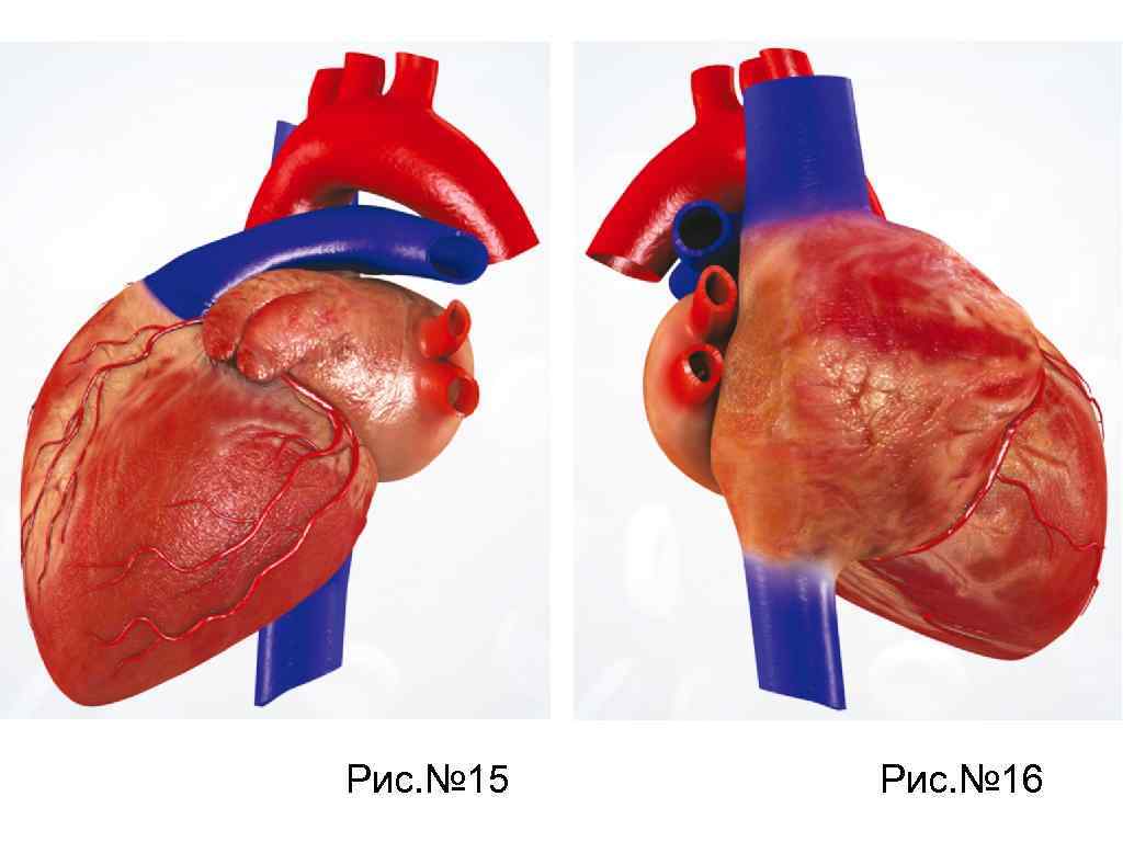 Рис. № 15 Рис. № 16 