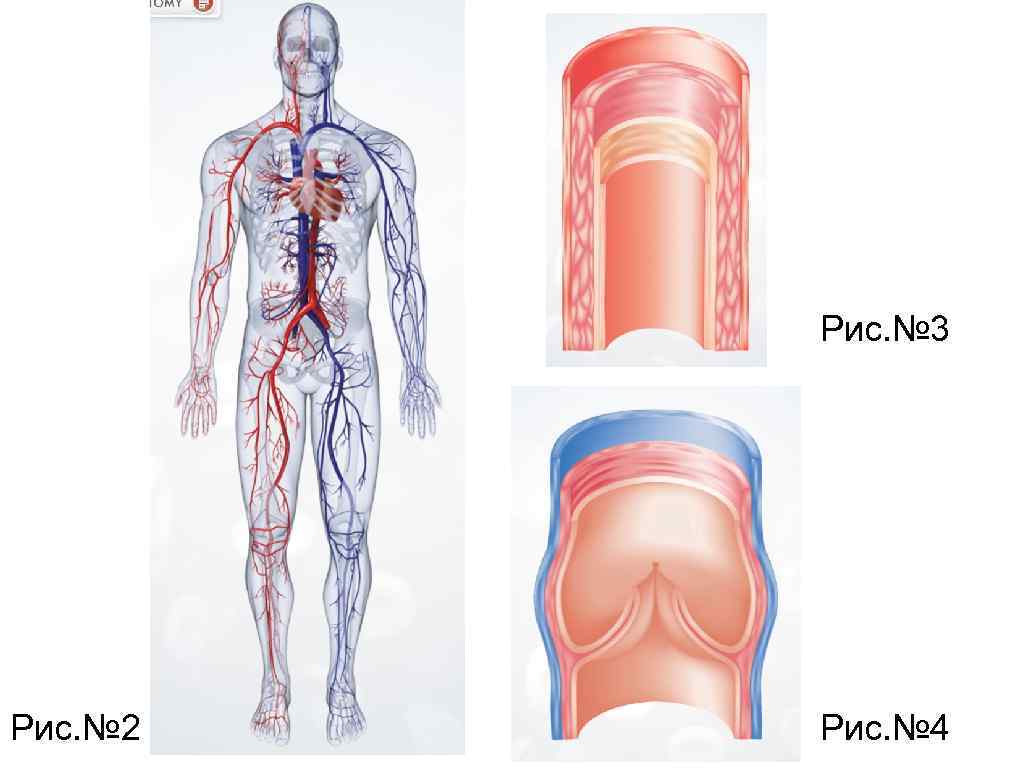 Рис. № 3 Рис. № 2 Рис. № 4 