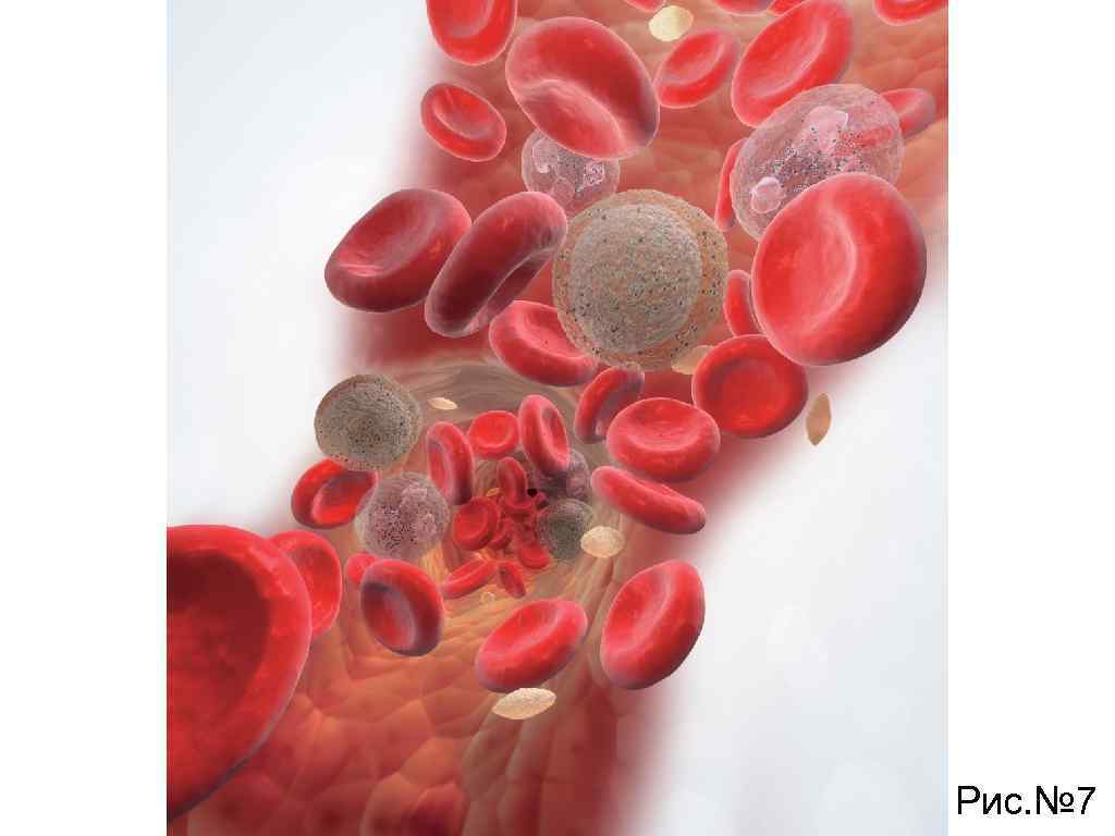 Рис. № 7 