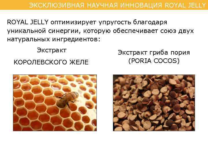 ЭКСКЛЮЗИВНАЯ НАУЧНАЯ ИННОВАЦИЯ ROYAL JELLY оптимизирует упругость благодаря уникальной синергии, которую обеспечивает союз двух