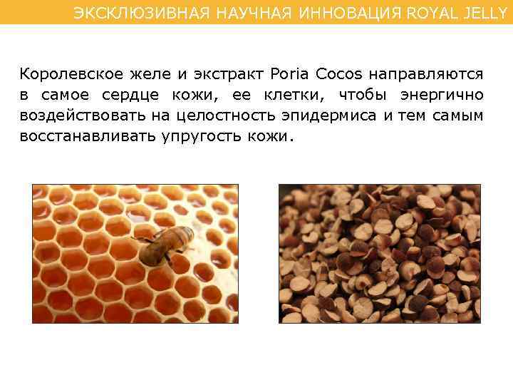 ЭКСКЛЮЗИВНАЯ НАУЧНАЯ ИННОВАЦИЯ ROYAL JELLY Королевское желе и экстракт Poria Cocos направляются в самое
