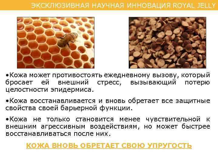 ЭКСКЛЮЗИВНАЯ НАУЧНАЯ ИННОВАЦИЯ ROYAL JELLY • Кожа может противостоять ежедневному вызову, который бросает ей