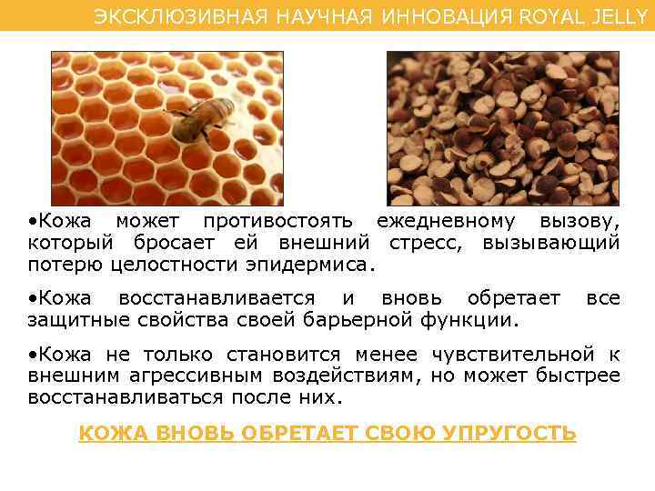 ЭКСКЛЮЗИВНАЯ НАУЧНАЯ ИННОВАЦИЯ ROYAL JELLY • Кожа может противостоять ежедневному вызову, который бросает ей