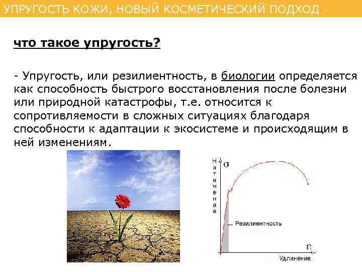 УПРУГОСТЬ КОЖИ, НОВЫЙ КОСМЕТИЧЕСКИЙ ПОДХОД что такое упругость? - Упругость, или резилиентность, в биологии