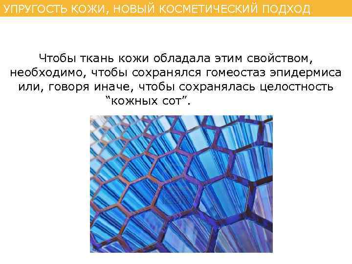 УПРУГОСТЬ КОЖИ, НОВЫЙ КОСМЕТИЧЕСКИЙ ПОДХОД Чтобы ткань кожи обладала этим свойством, необходимо, чтобы сохранялся