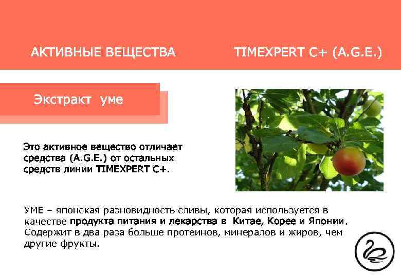 АКТИВНЫЕ ВЕЩЕСТВА TIMEXPERT C+ (A. G. E. ) Экстракт уме Это активное вещество отличает