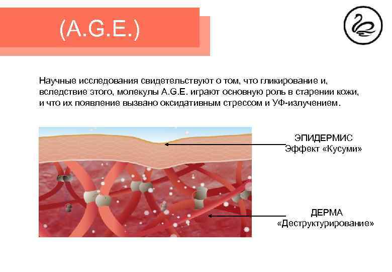 (A. G. E. ) Научные исследования свидетельствуют о том, что гликирование и, вследствие этого,
