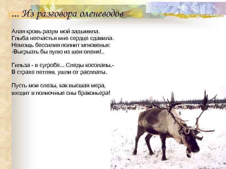 . . . Из разговора оленеводов Алая кровь разум мой задымила. Глыба несчастья мне