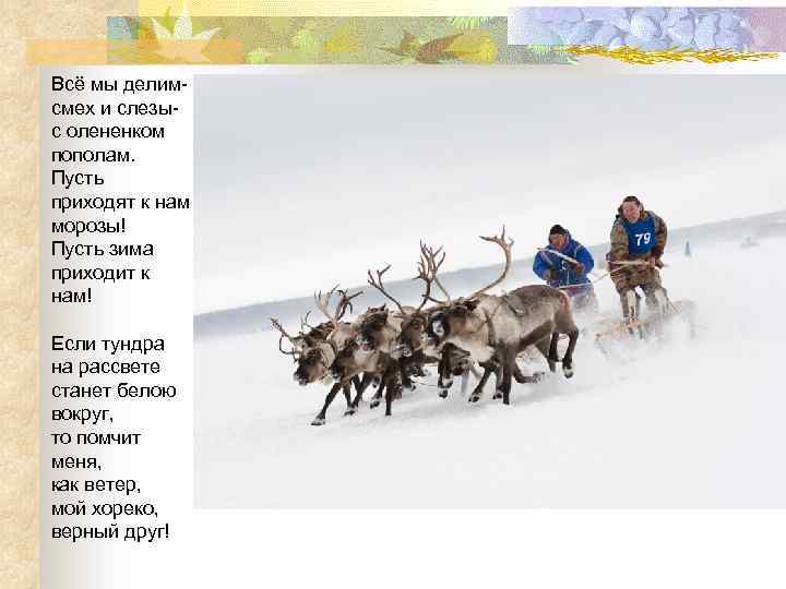 Всё мы делимсмех и слезыс олененком пополам. Пусть приходят к нам морозы! Пусть зима