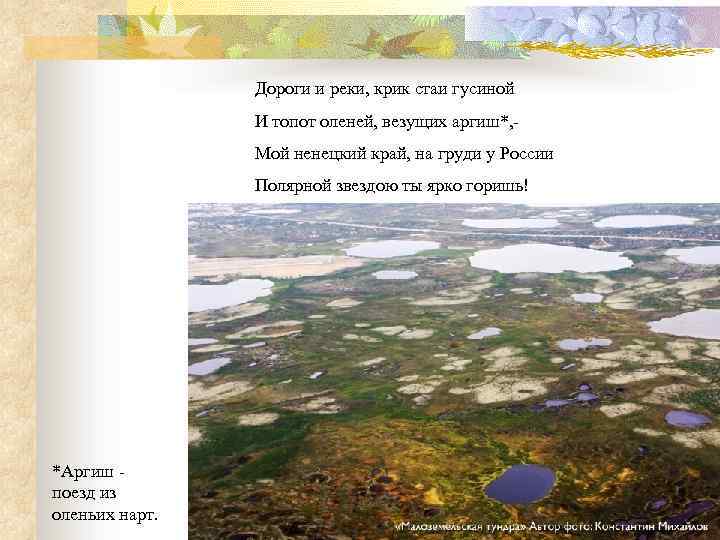 Дороги и реки, крик стаи гусиной И топот оленей, везущих аргиш*, Мой ненецкий край,