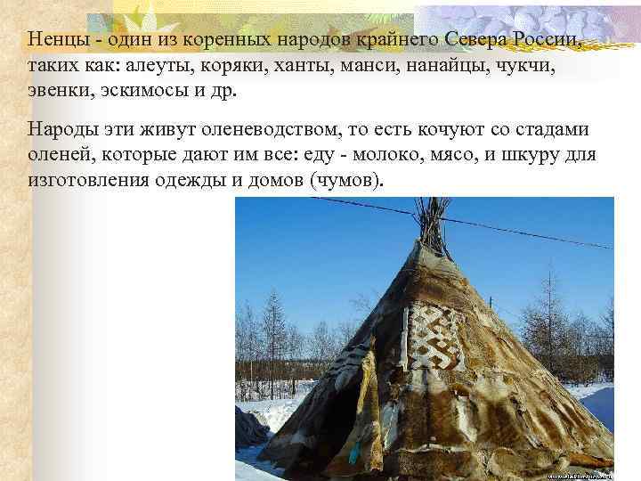 Ненцы - один из коренных народов крайнего Севера России, таких как: алеуты, коряки, ханты,