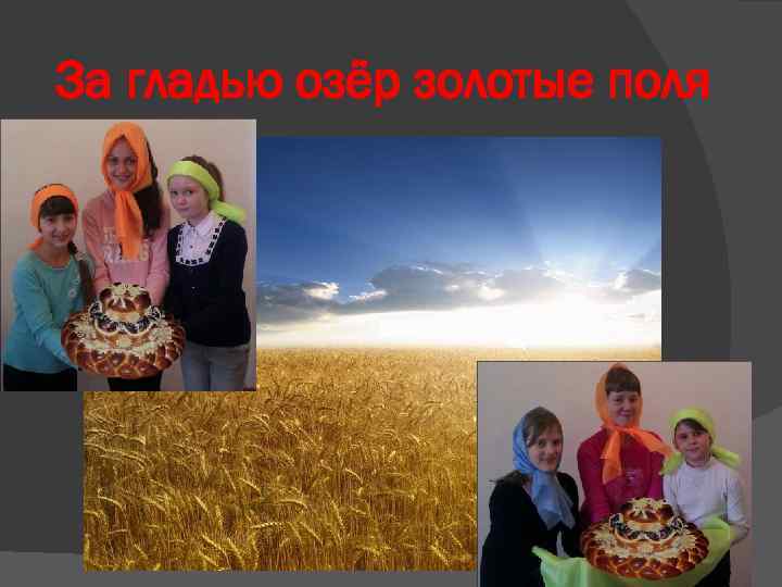 За гладью озёр золотые поля 