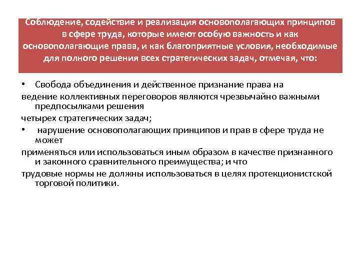 Соблюдение, содействие и реализация основополагающих принципов в сфере труда, которые имеют особую важность и