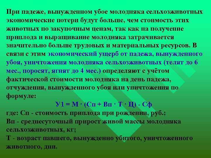  При падеже, вынужденном убое молодняка сельхозживотных экономические потери будут больше, чем стоимость этих