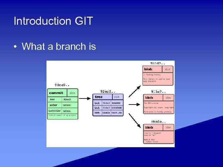 Introduction GIT • What a branch is 