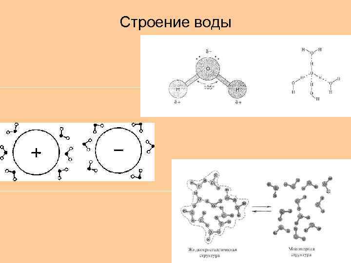 Строение воды 