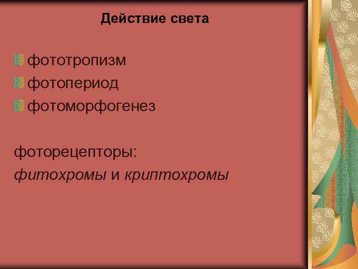 Действие света фототропизм фотопериод фотоморфогенез фоторецепторы: фитохромы и криптохромы 