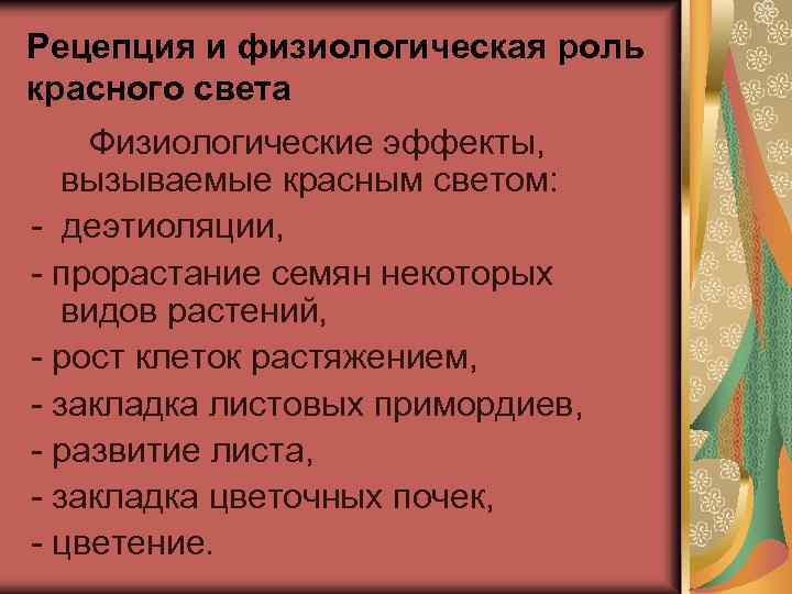 Рецепция и физиологическая роль красного света Физиологические эффекты, вызываемые красным светом: - деэтиоляции, -