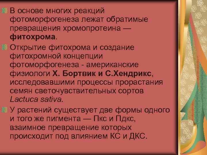 В основе многих реакций фотоморфогенеза лежат обратимые превращения хромопротеина — фитохрома. Открытие фитохрома и