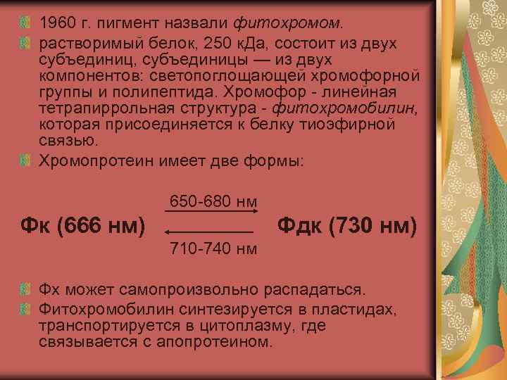 1960 г. пигмент назвали фитохромом. растворимый белок, 250 к. Да, состоит из двух субъединиц,