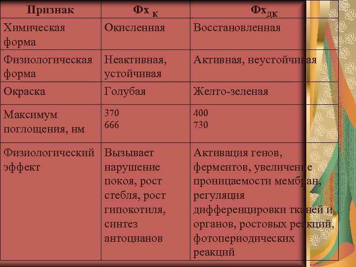 Признак Химическая форма Фх К Окисленная Фх. ДК Восстановленная Физиологическая форма Неактивная, устойчивая Активная,