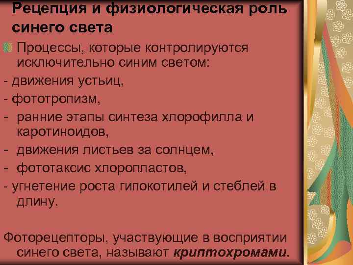 Рецепция и физиологическая роль синего света Процессы, которые контролируются исключительно синим светом: - движения