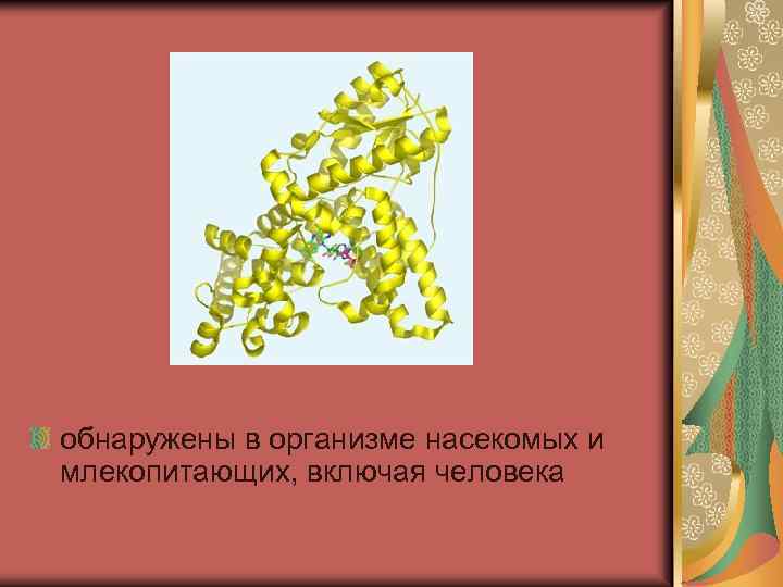 обнаружены в организме насекомых и млекопитающих, включая человека 