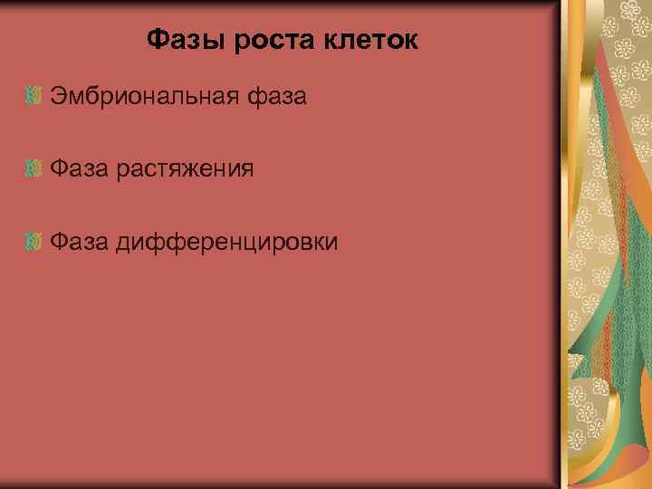 Фазы роста клеток Эмбриональная фаза Фаза растяжения Фаза дифференцировки 