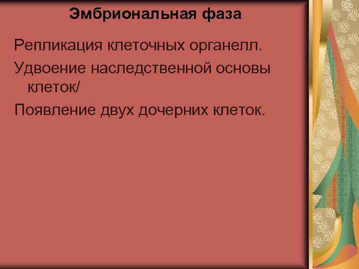 Эмбриональная фаза Репликация клеточных органелл. Удвоение наследственной основы клеток/ Появление двух дочерних клеток. 