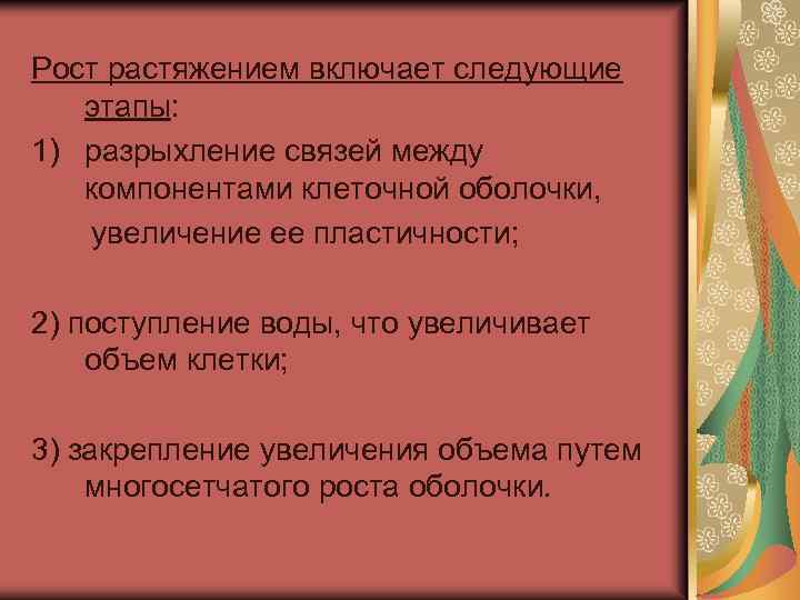 Рост растяжением включает следующие этапы: 1) разрыхление связей между компонентами клеточной оболочки, увеличение ее
