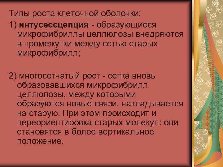 Типы роста клеточной оболочки: 1) интусессцепция - образующиеся микрофибриллы целлюлозы внедряются в промежутки между