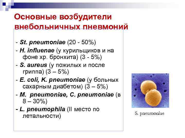 Основные возбудители внебольничных пневмоний - St. pneumoniae (20 - 50%) - H. influenae (у